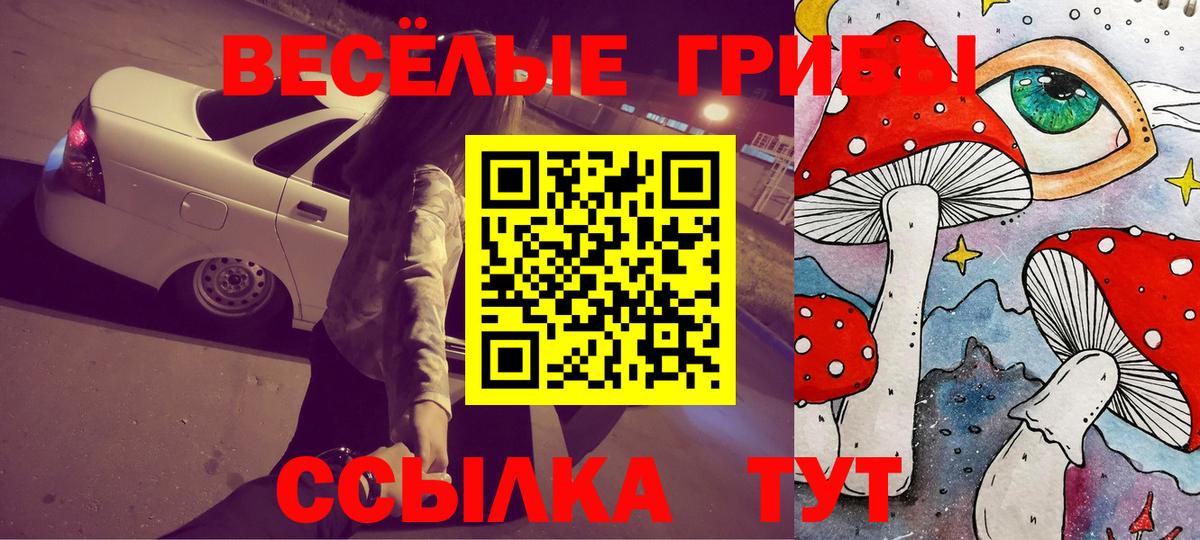 Псилоцибиновые грибы Psilocybine cubensis  Вход с VPN  Коряжма 